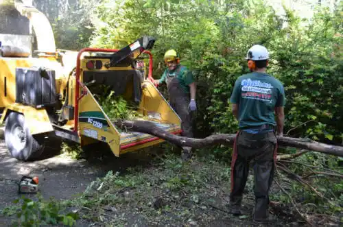 tree services Cherry Valley